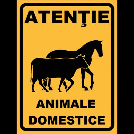 Placuta atentie animale domestice